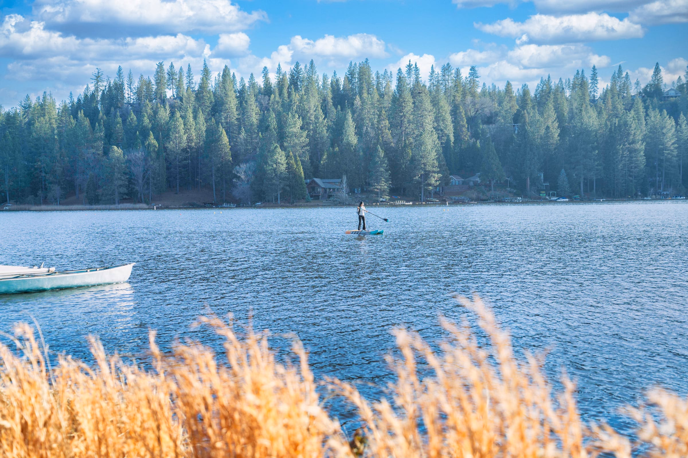 A paddleboarder out on the calm water of Pine Mountain Lake with a dense pine forest on the far shore